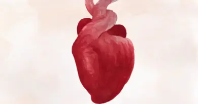 Warnimation / épisode 5 : A mon amour