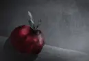 Warnimation / épisode 8  : Cycle