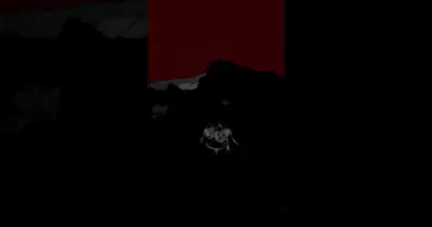 #shorts | Extrait de l’épisode 3 « Ils ont libéré la France » du ministère des Armées.